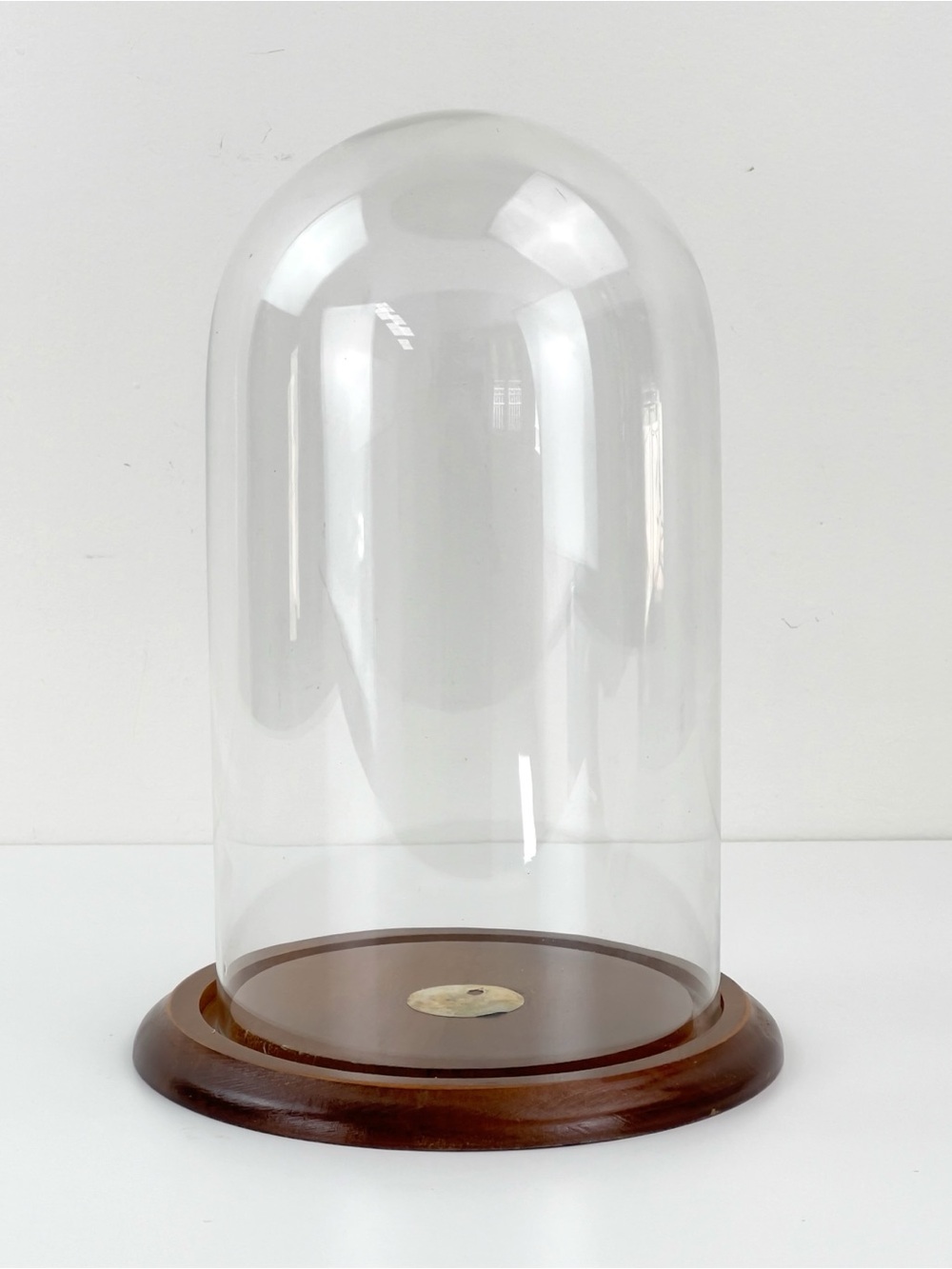 Vintage Clear Glass Dome Display Cloche Western Trimming Corp.